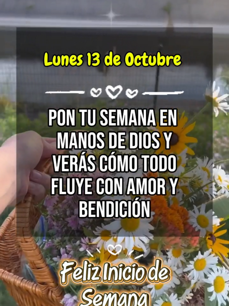Buenos Días Feliz Lunes💖#buenosdias #frases #lunes #13deoctubre #buenosdias 