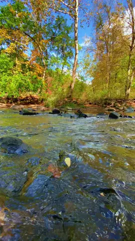 #OhioCheck #Ohio #TinkersCreek #Nature #Creek 