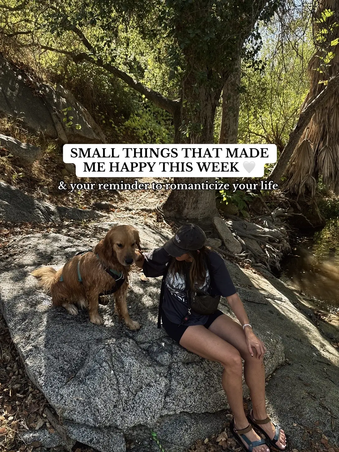 Your reminder to appreciate the mundane little moments in life too 🤍 #dogmom #dogmomlife #goldenretriever #romanticizeyourlife #orangecounty 
