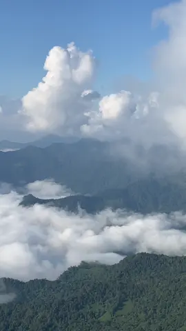✨ภูชี้ดาว 11-10-68 ✨ ทะเลหมอกขาวมาก 🌥️🍃⛰️ #เชียงราย #ธรรมชาติ #ฟีดดดシ 