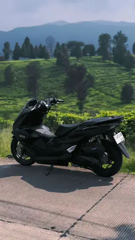 Gak ada temen nih, temenin dong #pcx160 #pcx160ล้อ17แต่งสวย #pcxmodifikasi