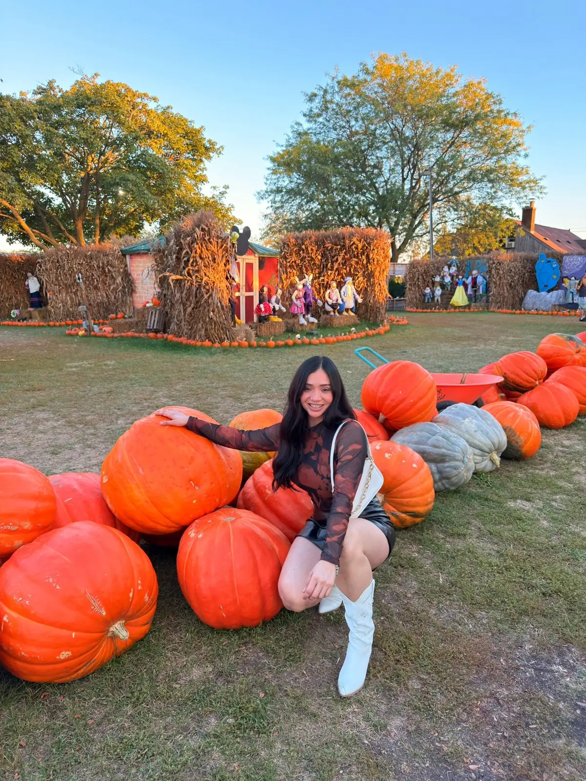 Temporada de calabazas 🎃🍁🍂#fypシ゚viralシ_fyp#tiktok#fypシ゚viralシ_fyp 