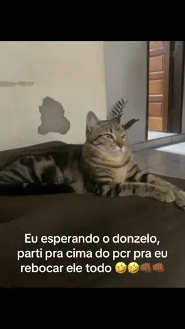 🤣🤣👊🏾👊🏾 #salvador #foryoupage #fyppppppppppppppppppppppp #viral 