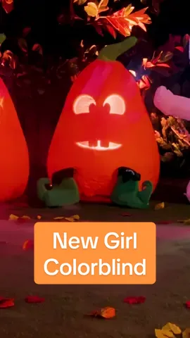 Replying to @paulatousignant Kyle was trying on Halloween costumes. He was going to dress up as an elf because in a previous life Lester used to be… well… maybe I shouldn’t get into that story just yet. Maybe we can go deeper around Christmas time. #halloween #trickghastly #mummy #spookyseason #newgirl 