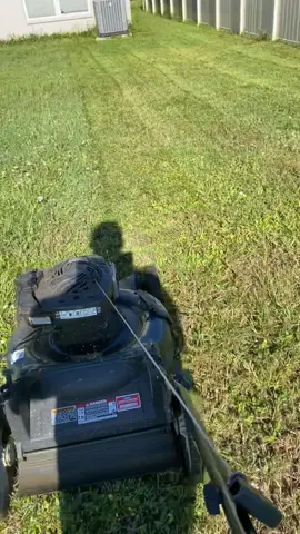 Bitchhhhhh you can do it all with some adderal!!!!#fypシ゚viralm #ADHD #work#clean #yardwork 