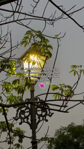 #fyp #dedicar #viral_video #parati 