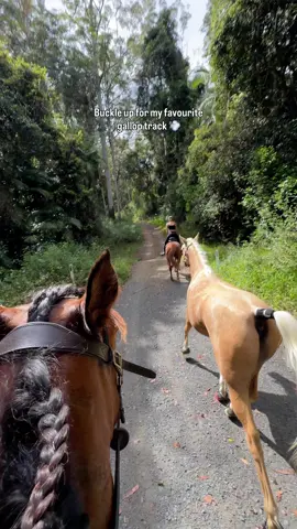 Sorry for the sounds I make after inhaling a bug 🙈🤪 This hill has been one of my favourites to gallop up since I first really started riding back in 2016! It goes for so long and is just so ridiculously fun. Especially with friends! Willow is always ready when we get to a bridge at the bottom 🤩 Willow, Oakley and Emerald up front are all wearing @renegadehoofboots for that extra protection on these rocky trails 🥾 I’ve been using them on this trail for 9 years now!  #gallop #trailriding #horseriding 
