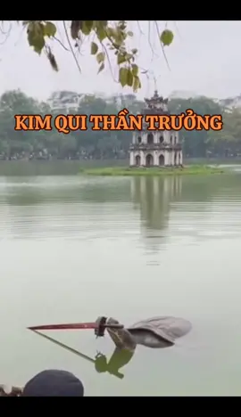 NANGLUONG #TUTRUONG #DZICO #xunghuong #phậtphápnhiệmmầu 