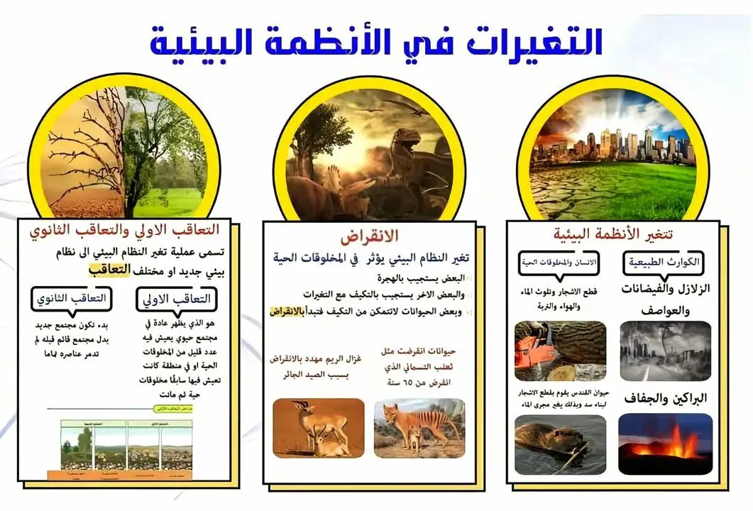 #مطوية_علوم_خامس_إبتدائي_التغيروات_في_الانظمه_البيئيه 