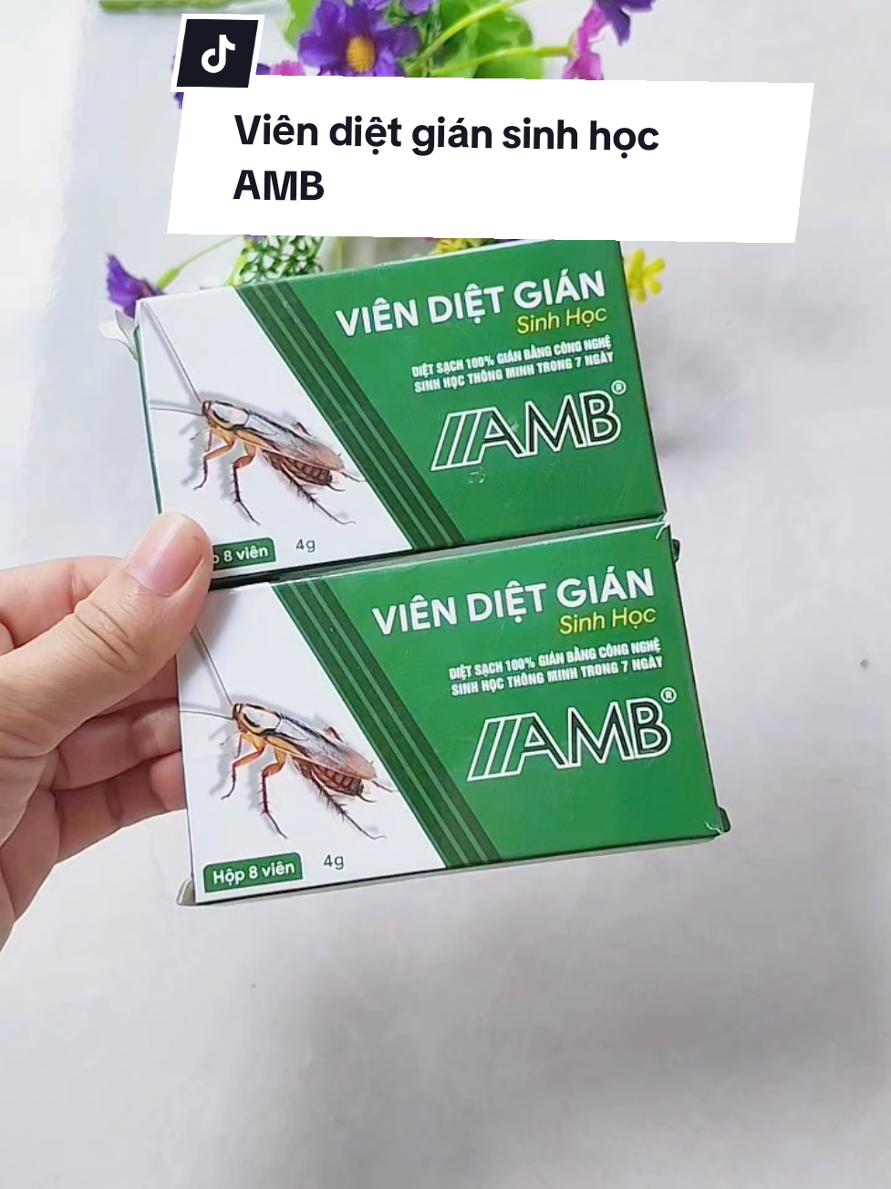 Viên diệt gián sinh học AMB hiệu quả ngay lần đầu sử dụng #taphoamedauu #viendietgian #viendietgiansinhhoc #viendietgiansinhhocamb #xuhuong @Tạp hóa mẹ Dâuu @Tạp hóa mẹ Dâuu 