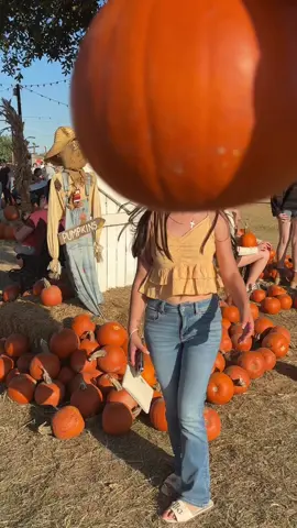 Día de calabazas 🎃 #paratiiiii #pumpkin 