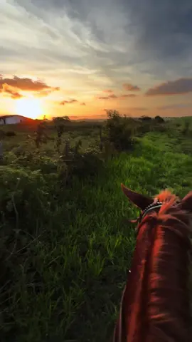 #sela #quanan #cavalos 