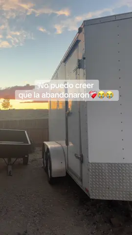 Conmigo esta a salvo 🫂 #Triste #Abandonada #Nuestraterreno #CountryLife