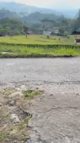 #marindingmengkendek  #torajapride🏝️💥 