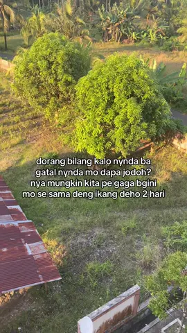 #fyppppppppppppppppppppppp #manadopunya #kotamobagu #fyp 