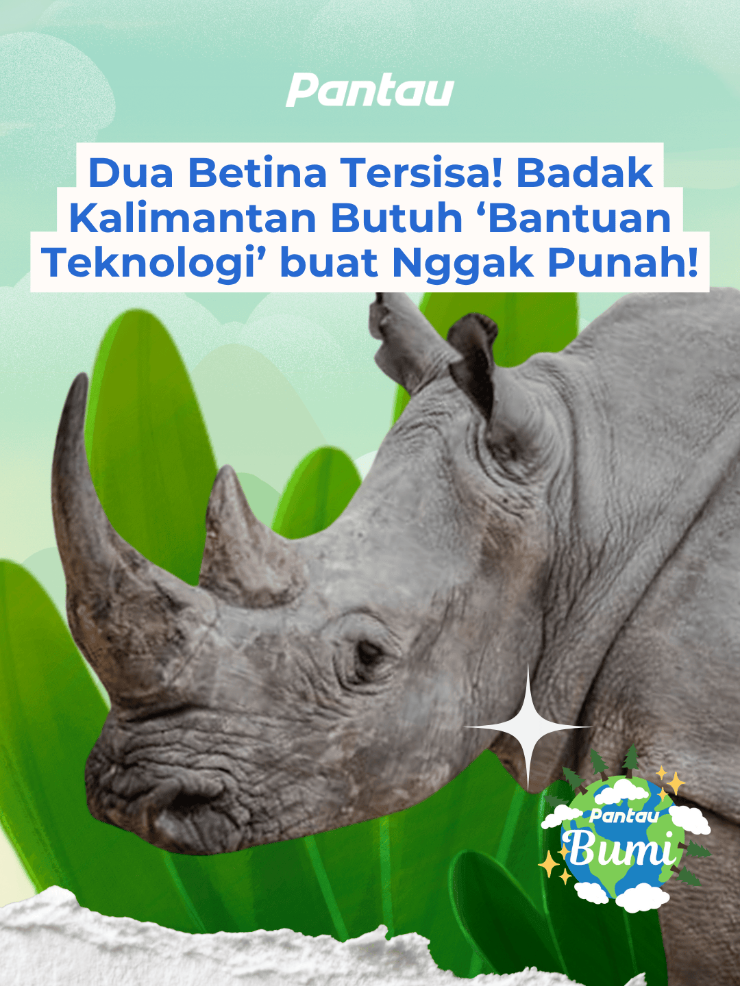 Pari & Pahu — dua betina terakhir badak Kalimantan. Sekarang harapannya cuma satu: teknologi bayi tabung. Semoga nggak terlambat. #PantauBumi #BadakKalimantan #SaveTheRhino #SatwaLangka #Konservasi #BumiButuhKita #fyp #Wildlife #Lingkungan #FunScience