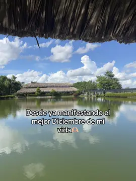 🫶🏻 #tiktok #foryou #diciembre #findeaño #2026