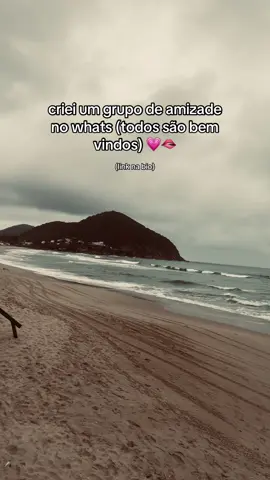 vemm 💗 #grupodewhatsapp #amizadesvirtuais #fyp #foryou #glossfranciny 