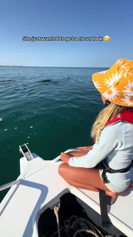 This guy clearly said no thank you! 