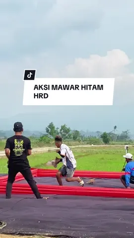SEPCIAL EDITION MAWAR HITAM ( HRD LAMPUNG ) Di partai reguler