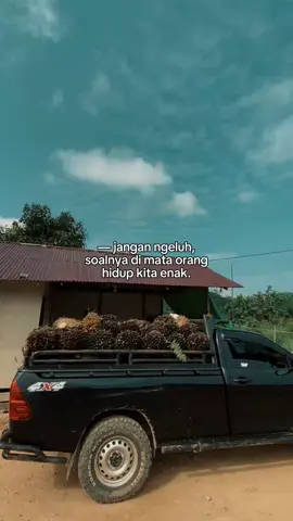 #fypage #petanimuda #buahsawit 