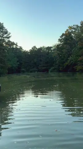 #OOTD #fyp #fitcheck #viral #xyzbca 