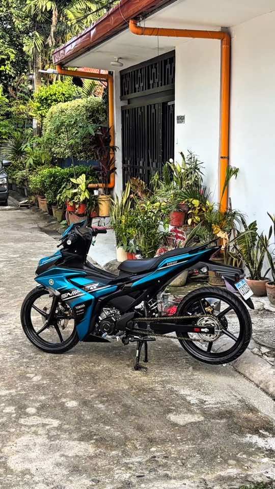 🥤 #fyp #livelaughlovesniper155 #bluey #malaysianinspired #CapCut 