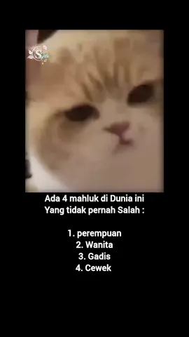 #sekedar_hiburan #®yn