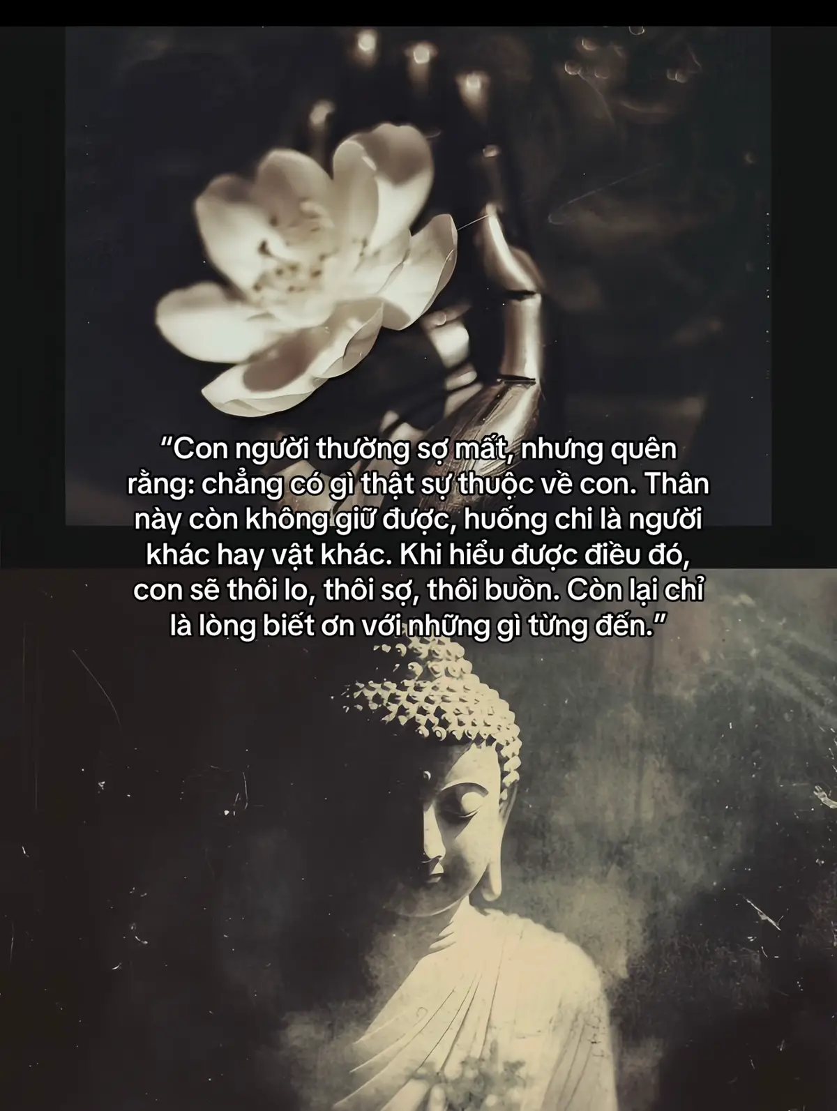 Đời này chẳng có gì thật sự thuộc về ta — người đến, rồi đi vật có, rồi mất. Hiểu được điều đó, ta thôi sợ, thôi buồn… chỉ còn lại lòng biết ơn với những gì từng đi ngang cuộc đời. ✨🪷 #phatphapnhiemmau#loiphatday#phattaitam#phatgiao#viral