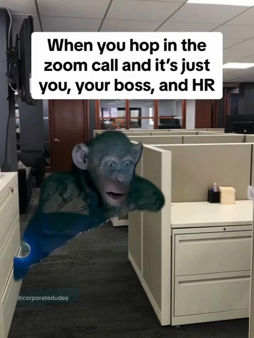 3 people in the call. 0 chance I survive. 🫠 HR breathing in the same room = instant anxiety. 📹 Credit: @corporatedudes 👉 Stick around for more corporate chaos. #WorkHumor #ZoomLife #CorporateComedy #HeidiAI #Productivity #AItools