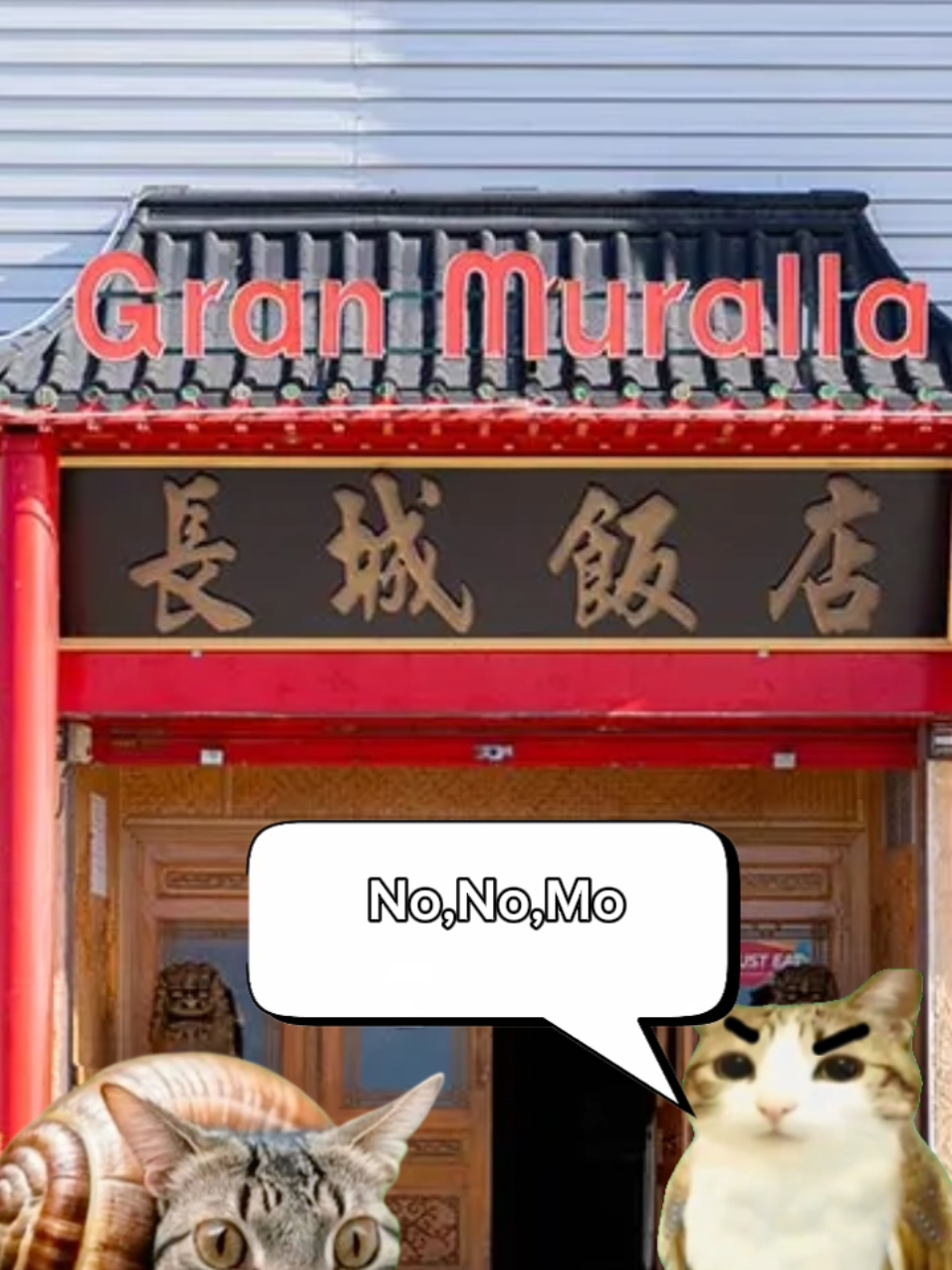 comida china #comidachina #meowl #memes