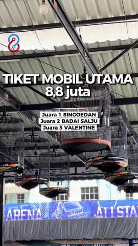 Juara tiket utama !all star arena🤟🏻kicaumania nasional#murai #fypシ゚ 
