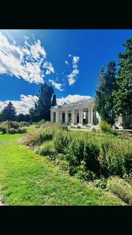 Beauty is all around us.  #denvercolorado #beauty #nature #calm #peace 