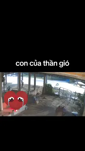 con của thần gió #videotonghop_xemdetranh 
