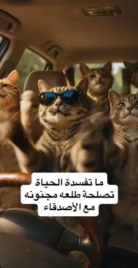#fyp #fypシ #trending #america #الشعب_الصيني_ماله_حل😂😂 