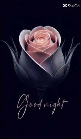 #domingofamiliar  #buenasnoches  #hastamañana  #lindosueños  #teveoenmissueños 