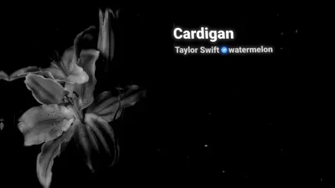 Cardigan #lyrics #lyricsvideo #fyp 