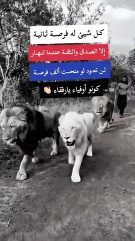#fyp #F #f #شلفاوة_والحلاوة🔥 #شعب_الصيني_ماله_حل😂😂 