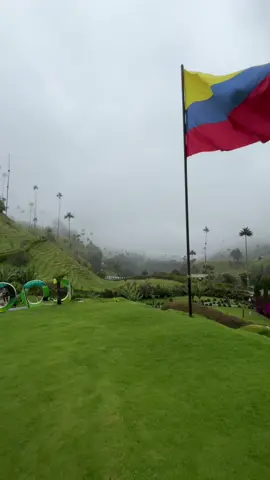 La dopamina de la naturaleza #valledelcocora #viajescolombia #ejecafetero #paisajes #travel  