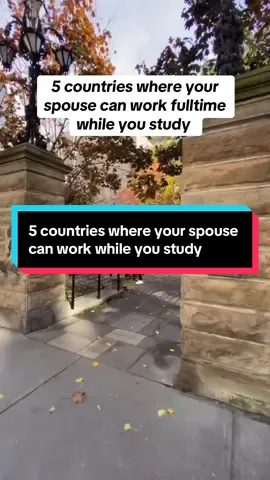 Spouse wants to work while you study. Save this. Canada: spouse of a full-time master’s or PhD student can qualify for an open work permit. Australia: partner can work. Research master’s or PhD usually means unlimited hours. New Zealand: partner of a master’s or PhD student, and some Level 7–8 Green List programs, can get an open work visa. Germany: spouse who joins you on a family reunion permit is typically allowed to work. Sweden or Finland: family members of student permit holders can work without a separate permit. Housing tip: once the offer or admission arrives, lock a room with AmberStudent so you land ready. Verified rooms, flight discounts, airport pickup, and a free eSIM.  Registration link in my bio. I’ll pin official checks for each country in the comments. Comment your course and country and I’ll reply with a quick path. Disclaimer: Rules change. Always confirm on official immigration pages before you apply. #StudyAbroad #InternationalStudents #WorkWhileYouStudy #AmberStudent #fyp