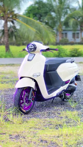 Dyords 💜#dyords #projectdiorno #hondagiorno #giorno125 