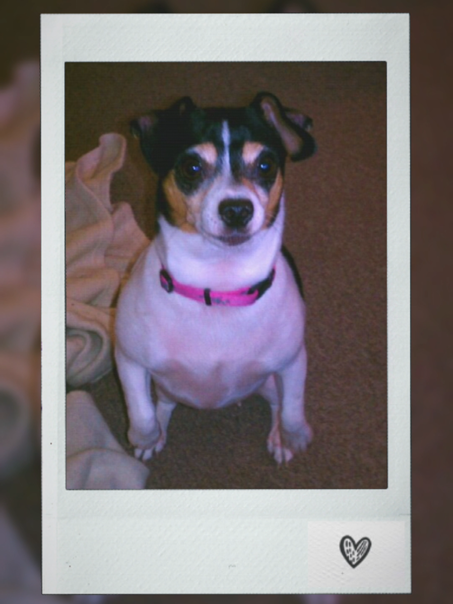 #CapCut #RIPKyaRenee #goodestgirl #bestdoggo 