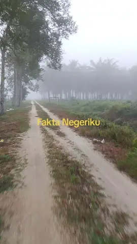 #faktanegeriku