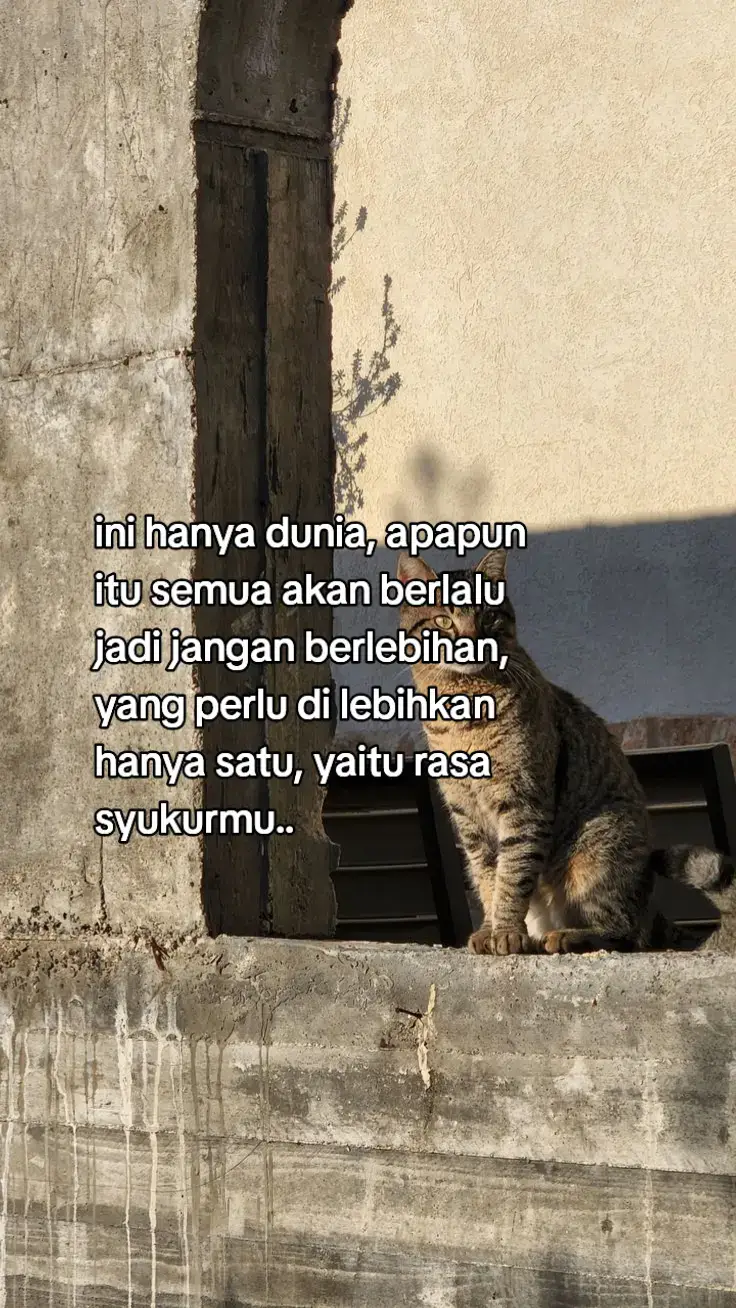 yang terpenting rasa syukurmu😊😊🙏 #storytime⏳ #storywhatsapp #foryoupage❤️❤️ #katakata 