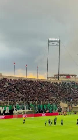 guss e cah cah #psssleman #brigatacurvasud #pegadaianliga2 #1976 