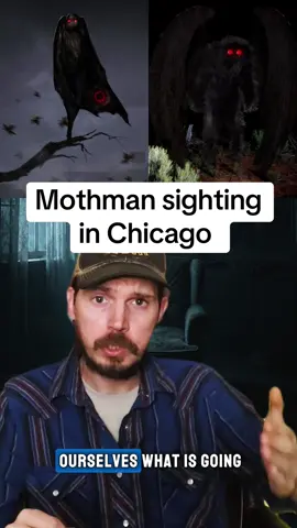 Is something bad going to happen in Chicago?#chicago #scarystories #spookystory #mothman #sighting 