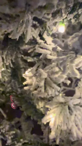 #christmastree #christmas #christmasdecor #warmupfortheholidays #tiktokshopblackfriday 