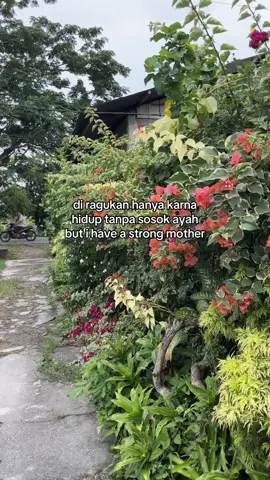 sehat” ibu di seluruh dunia 