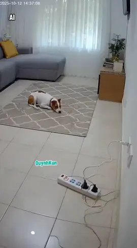 #quynhkun 