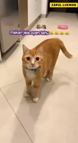 credit video Zarul Lukman